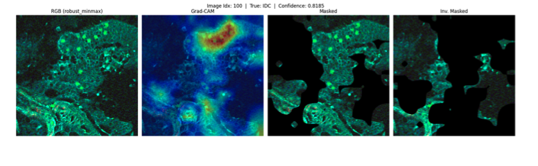 CORAL on non-linear multiphoton microscopy-banner